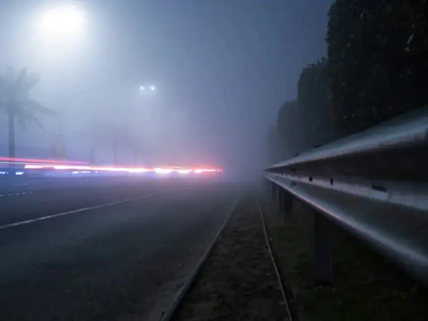 Foggy Evening at 44°F Follows Moderate Rain on Cool Day