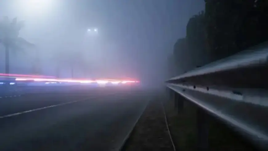 Cool Day Ends with Foggy Evening at 44°F After Moderate Rain