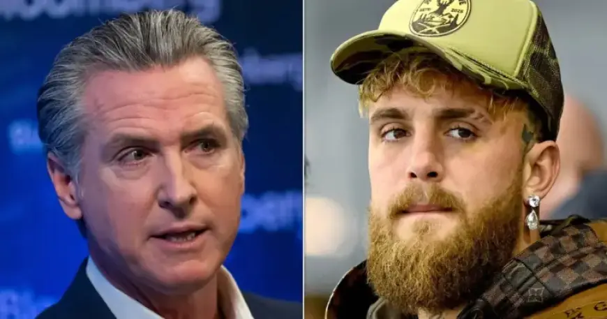 Gavin Newsom Calls Trump-Supporting Boxer a ‘Snowflake’
