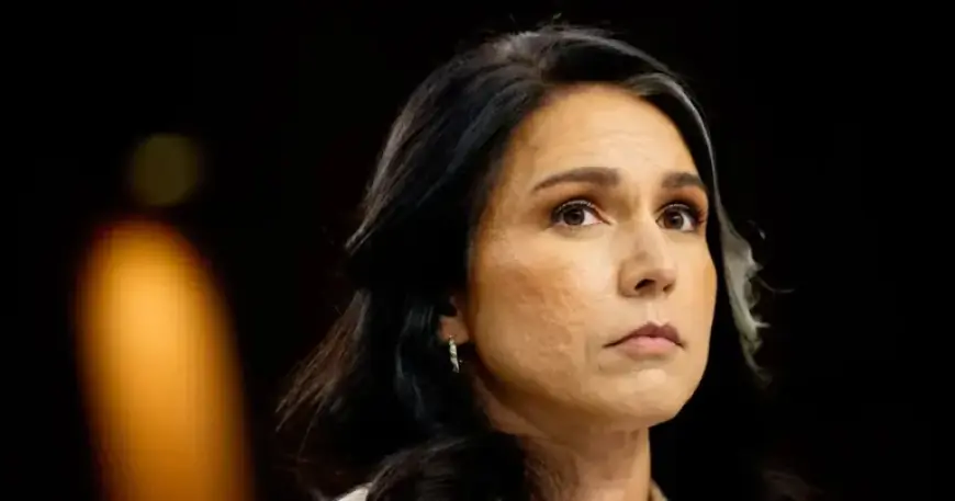 Tulsi Gabbard Whistleblower Controversy Intensifies with New Revelations