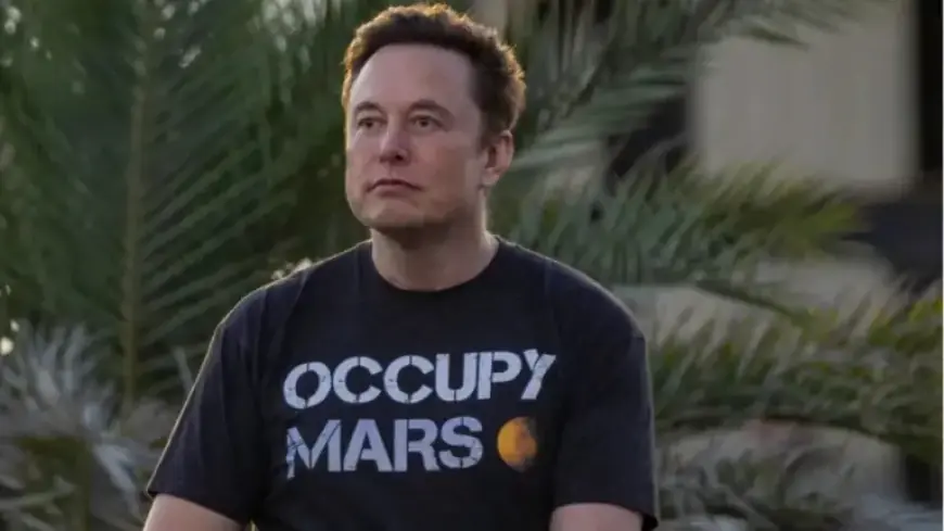 Musk Takes Unconventional Steps After Mars Mission Stalls