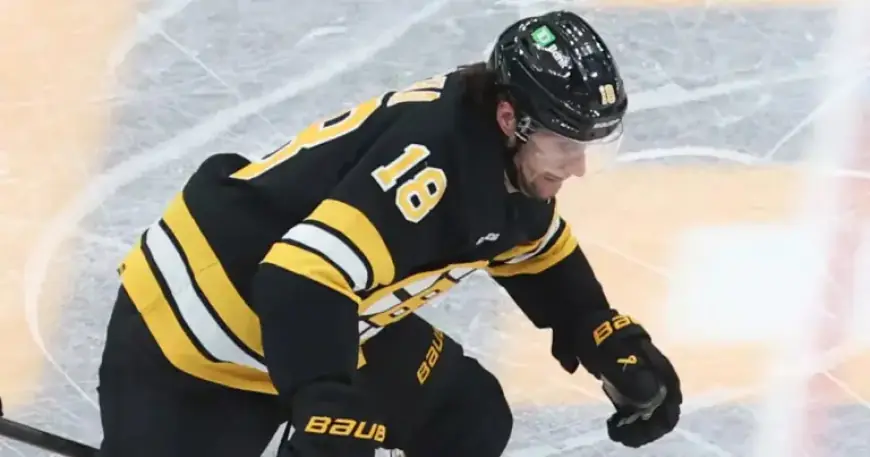 Czechia’s Zacha Sidelines from Milano Cortina 2026 Due to Injury