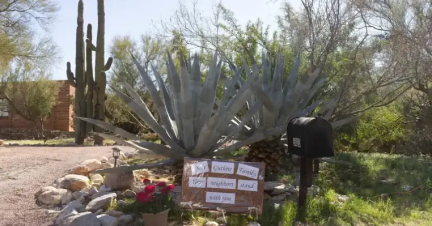 Savannah Guthrie Expresses Hope: ‘Our Mom Is Still Out There’