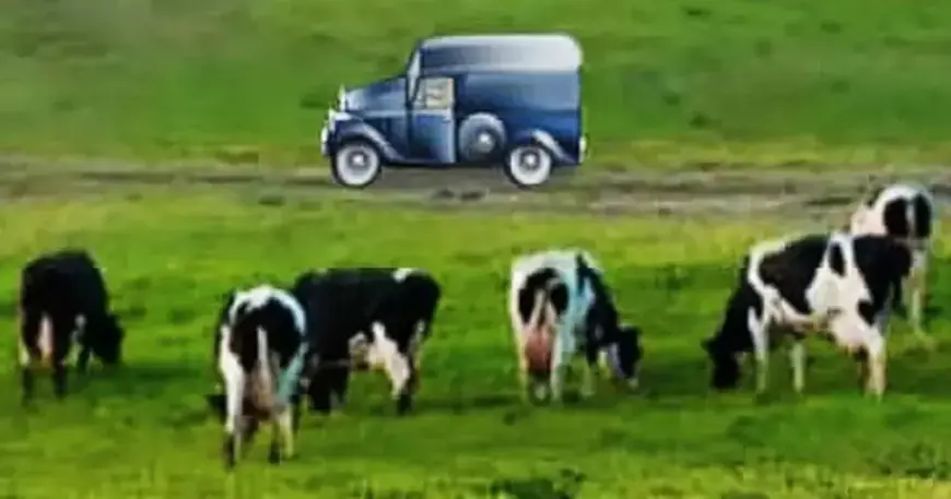 Brain Training Game Could Shield Against Dementia for 20 Years