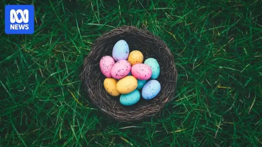 Government Tightens Investment Scheme Regulations Following Major Fund Collapses