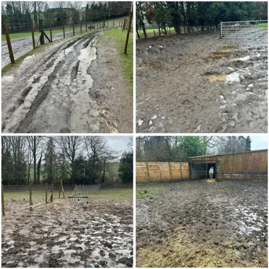 Bridgnorth Rescue Centre Temporarily Shuts Down After £50,000 Weather Damage