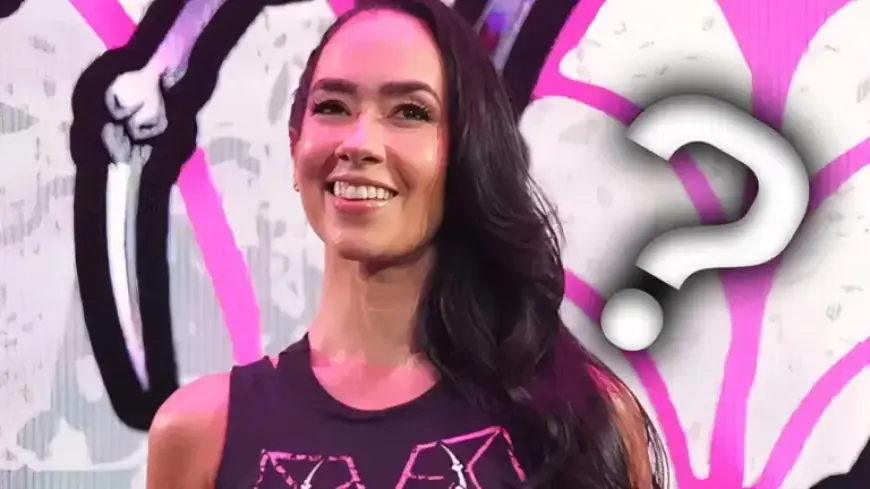 WWE’s Current Plans for AJ Lee Revealed