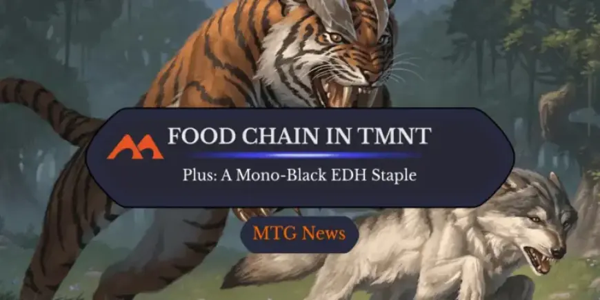 $40 Infinite Combo Revealed in Latest TMNT Game Leak