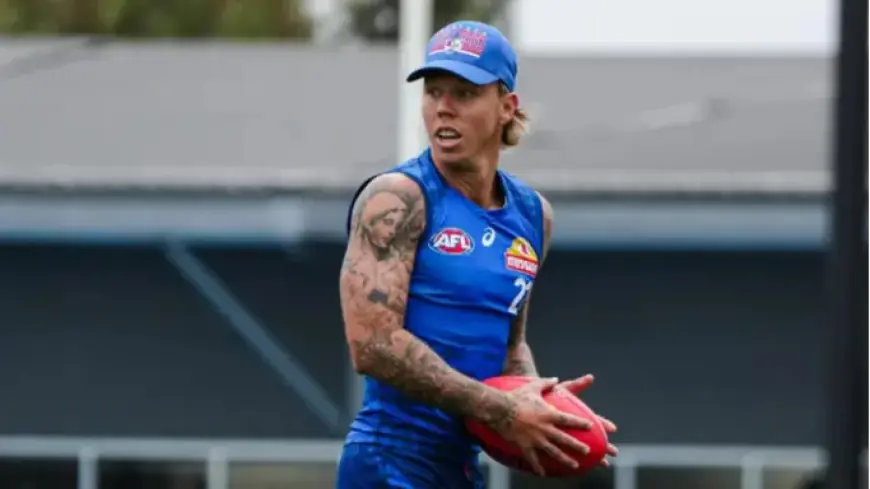 AFL 2026: James Harmes Retires Amid Off-Season Challenges, Reports Sam Edmund