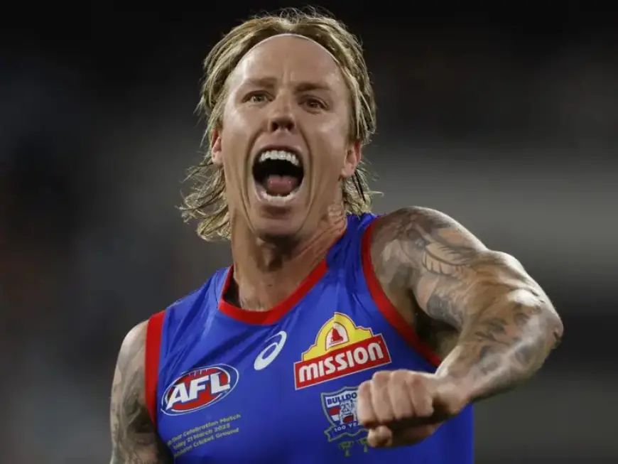 Bulldog Announces Surprising Retirement Before AFL Season Begins