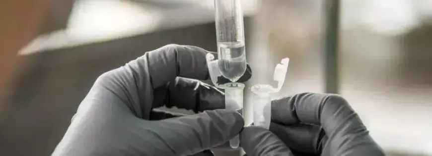 CSL (ASX:CSL) Faces Shift with Seqirus Spin-off Pause and Flu Demand Concerns