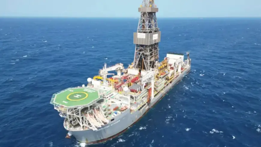 2025 Q4 and Annual Results: Key Insights and Updates