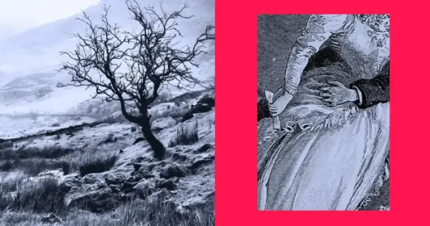 Why 6 Authors Embrace ‘Wuthering Heights,’ Heathcliff’s Allure and Warnings