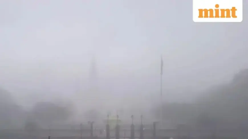 Dense Fog Advisory Issued for Louisiana, Mississippi: Essential Safety Tips