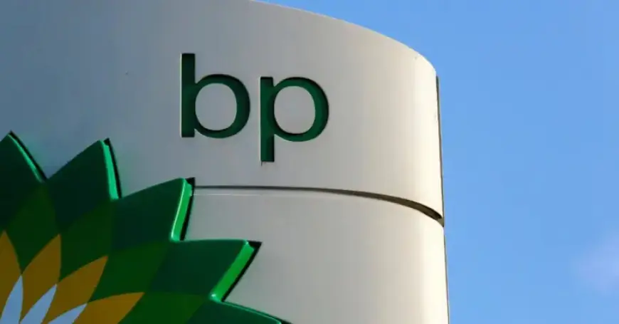 BP Halts Share Buybacks Amid Profit Decline