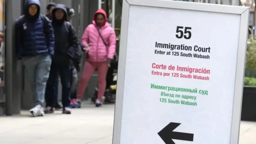 Immigration Courts Expedite Somali Asylum Hearings