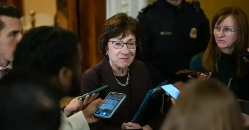 Susan Collins Seeks Re-election in Key Senate Seat for Democrats
