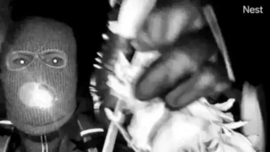 New Surveillance Footage Released from Nancy Guthrie’s Home