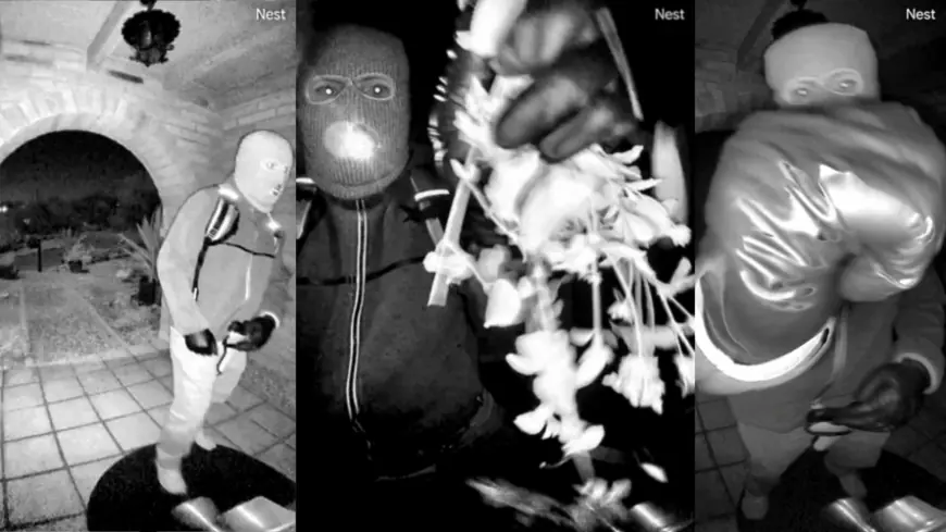 Savannah Guthrie update: FBI releases new images in mom Nancy Guthrie case as investigators urge the public to help identify a masked porch figure