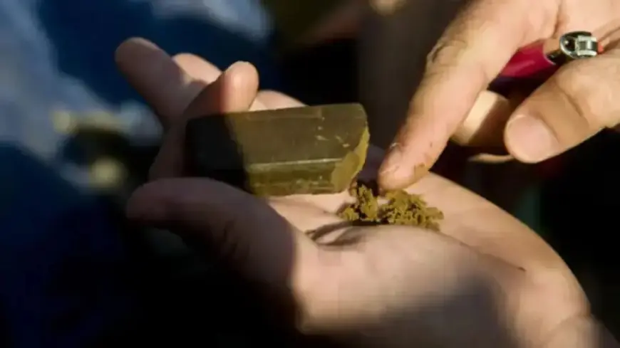 Police Detain Woman in Horta with Over 15,000 Drug Doses