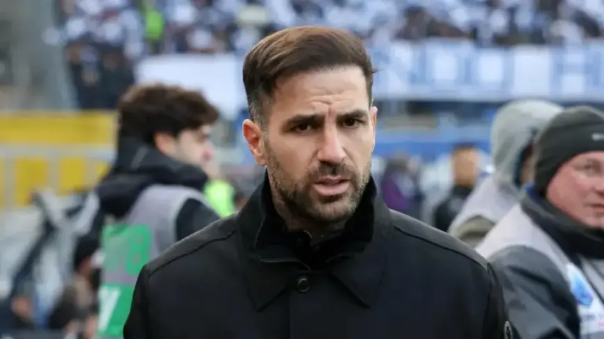Fabregas Embraces Napoli’s Winning Mentality on the Field