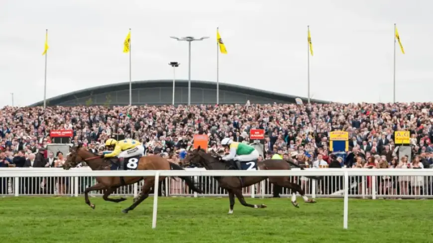 BoyleSports Unveils Aintree 2025 Grand National Free Bets and Offers