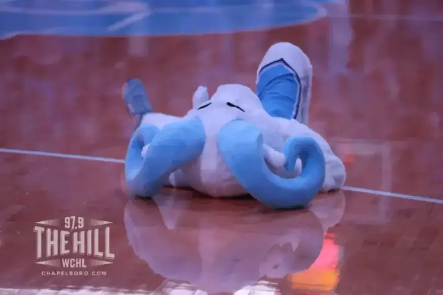 Chansky’s Notebook Analyzes ‘The Hangover’s’ Lasting Impact