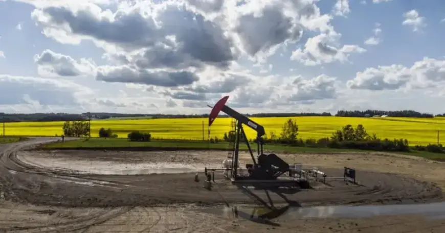 Canadian Oil Industry Set to Expand Through Mergers and Acquisitions