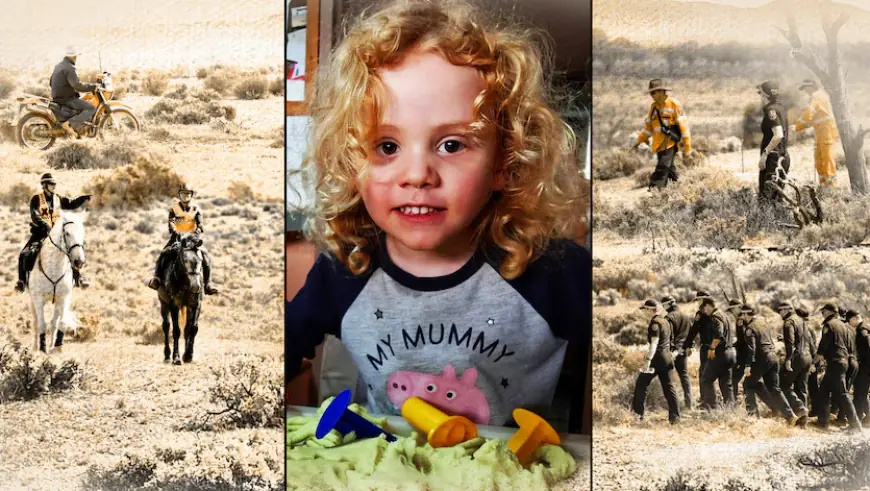 Gus Lamont update: Police name a suspect tied to Oak Park Station as grandparents and grandmother speak through lawyers