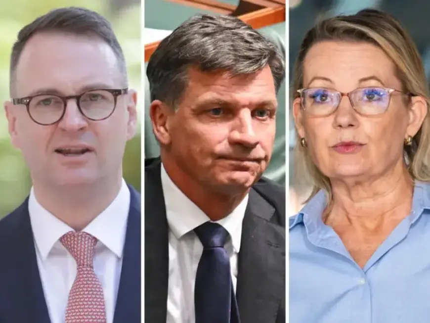 Lib Senator Challenges Ley’s Rivals to Initiate a Spill