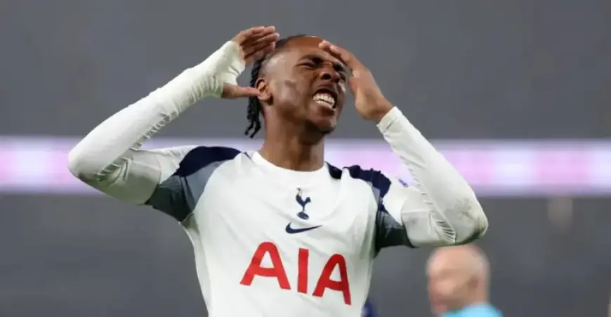 Tottenham Falls 2-1 to Newcastle in Home Defeat