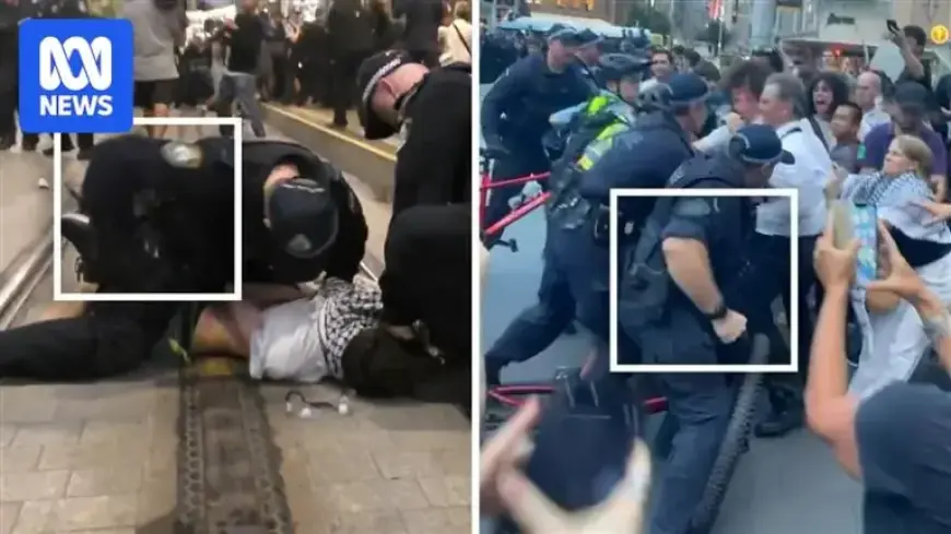 Analyzing Police Actions at Sydney Protest: Excessive or Reasonable?