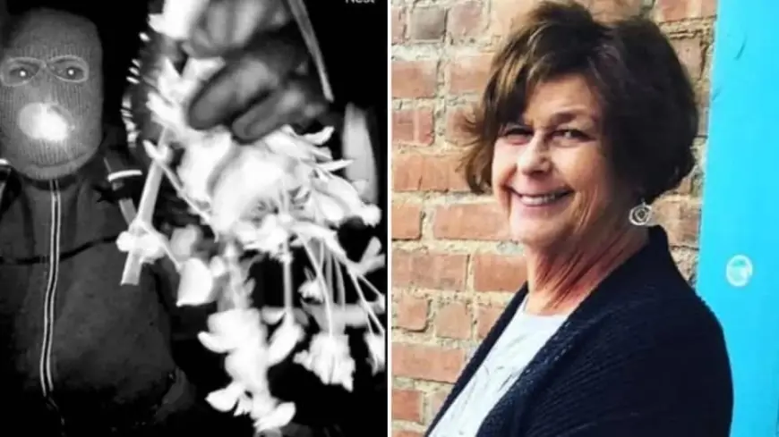 Savannah Guthrie video to latest FBI images: a clear timeline of key confirmed moments so far in the Nancy Guthrie disappearance