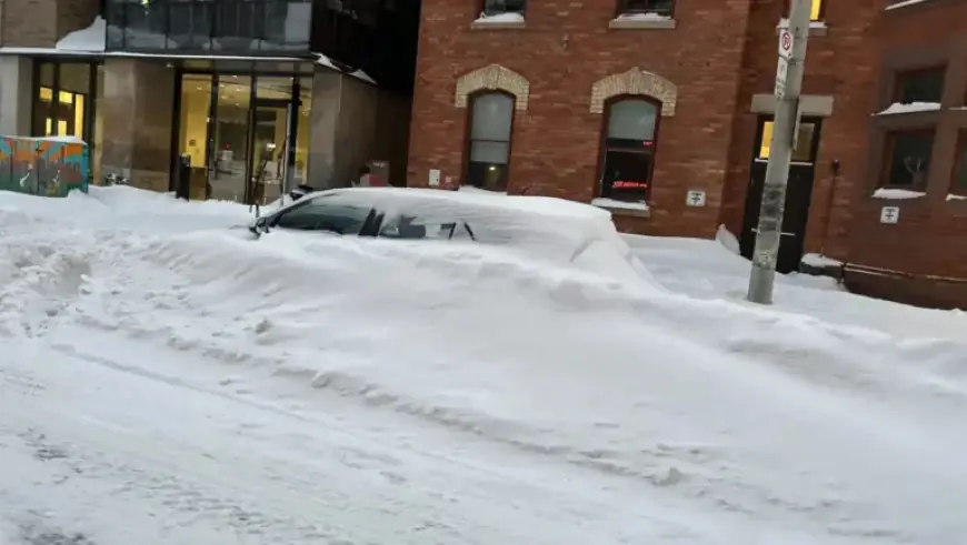 Toronto Issues Over $2 Million in Parking Tickets Amid Major Snowstorm
