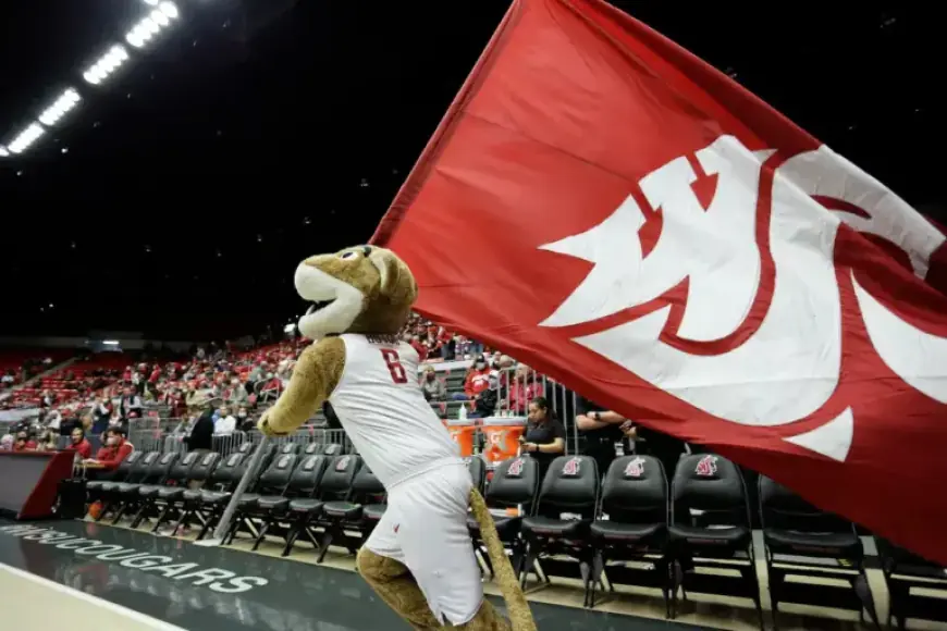 Stream Gonzaga vs Washington State Basketball Free Tonight