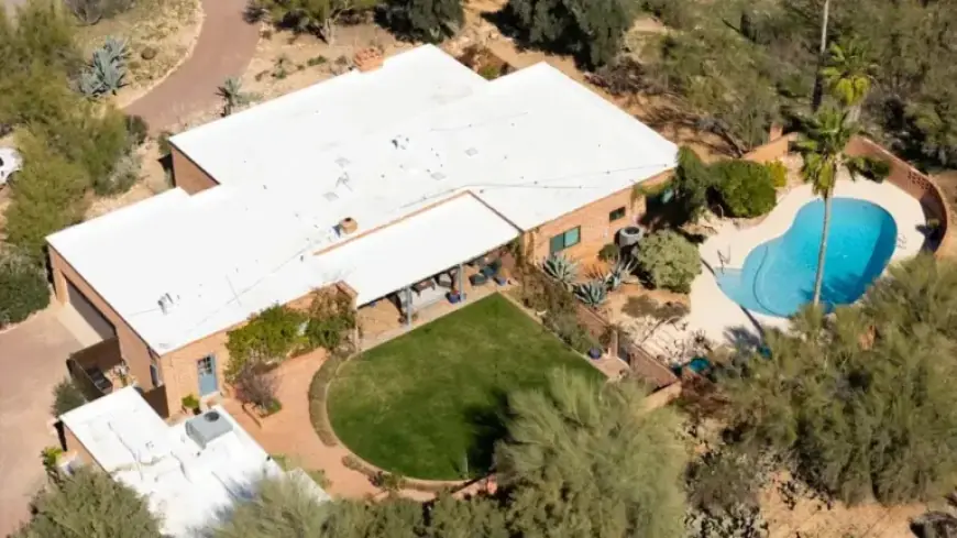 Amateur Sleuths Aim to Crack Nancy Guthrie Ransom Case With Grok