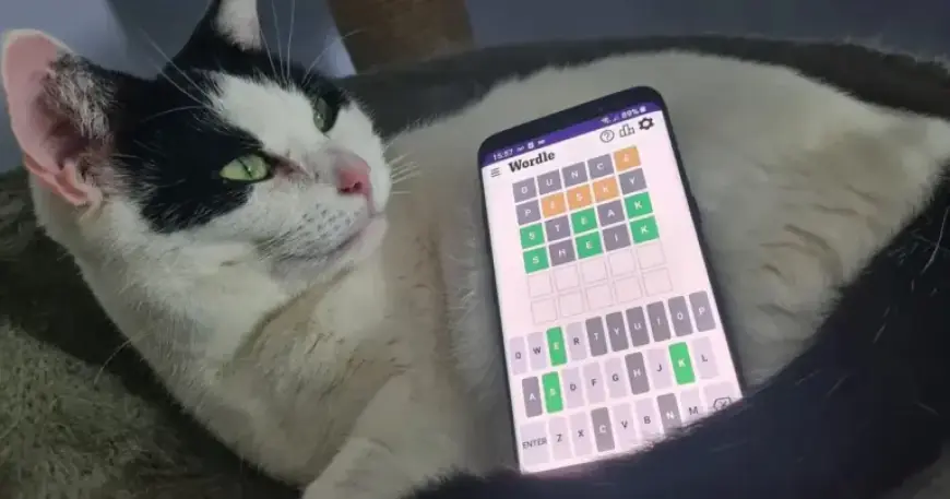 Wordle Clues and Answer for Tuesday, February 10