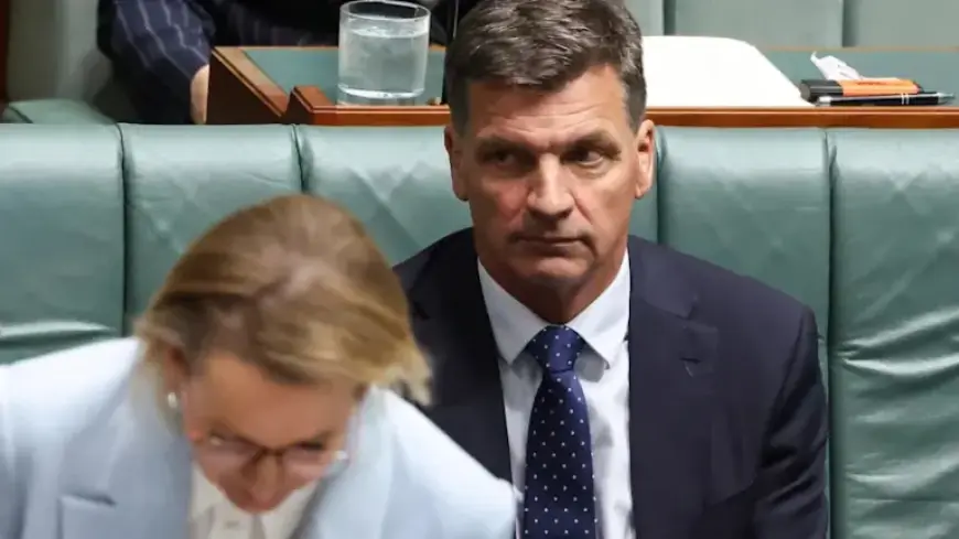 Angus Taylor Resigns from Liberal Frontbench, Sparking Leadership Challenge