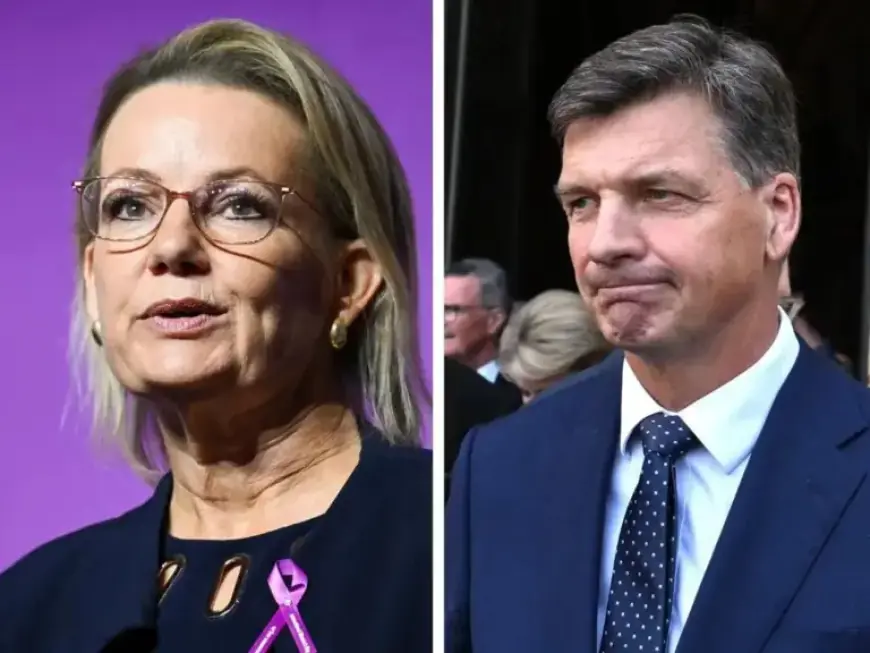 Taylor Resigns from Shadow Cabinet to Challenge Ley