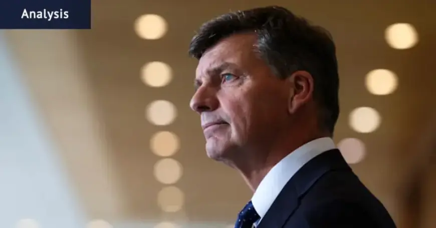 Meet Angus Taylor: The Liberal Party’s Star Leadership Contender