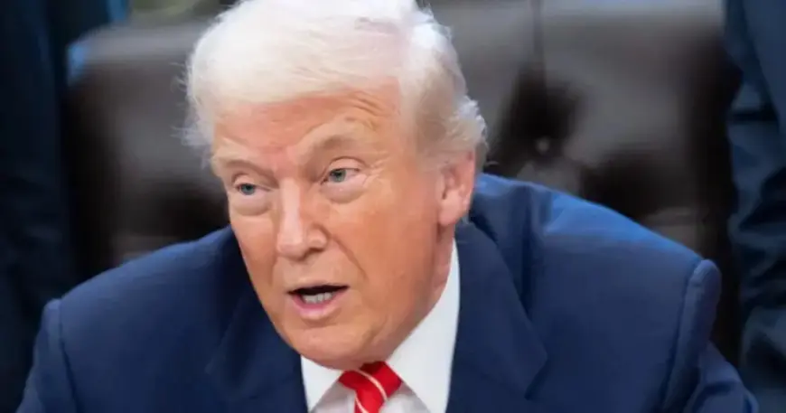 U.S. Olympians Defend Free Speech After Trump’s ‘Childish’ Remark