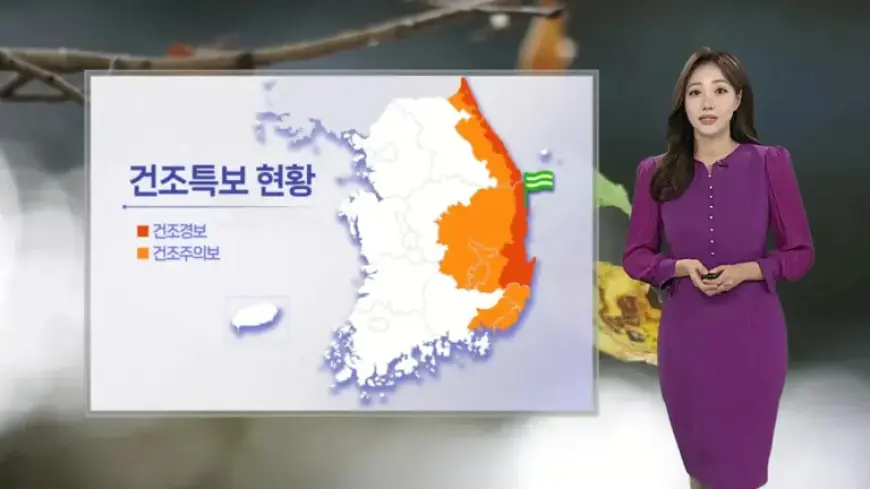 Fog and Dust Alert Tomorrow; East Faces Dry Weather Advisory