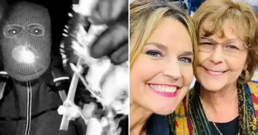 Update on Nancy Guthrie: Recovered doorbell video, brief detention, and a widening search