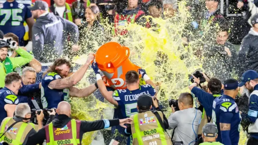 Seahawks Fans Turn Super Bowl into Home Game, Force Patriots to Use Silent Count