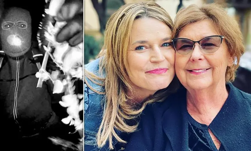 Nancy Guthrie Update: Person of Interest Released as Search Intensifies in Arizona Kidnapping Investigation