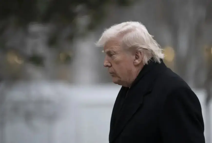 Trump in Retreat as MAGA Blame Game Intensifies