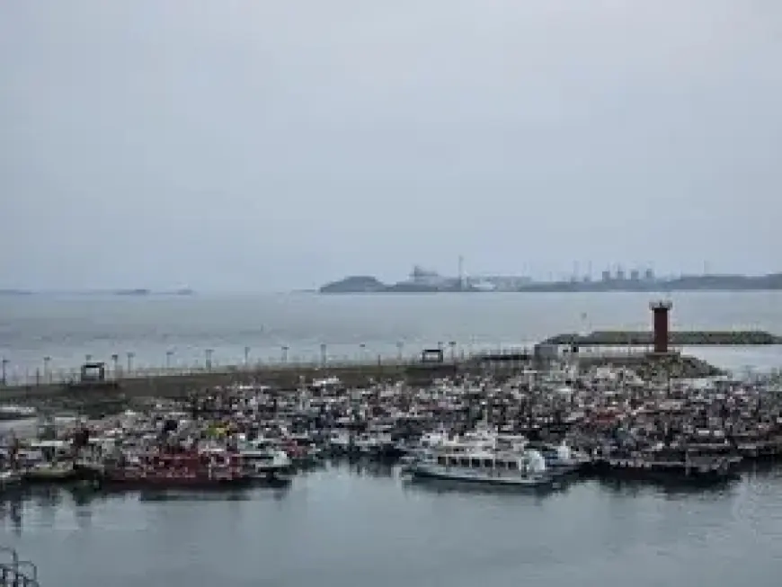 Mild Raindrops This Morning in Jeonbuk; Daytime Highs of 5-8°C