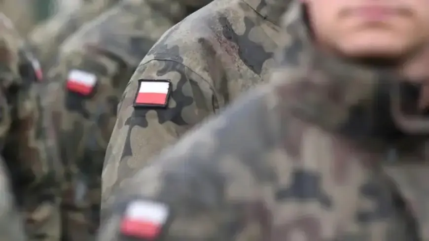 Why Poland Needs SAFE Program: General Reveals Three Key Reasons