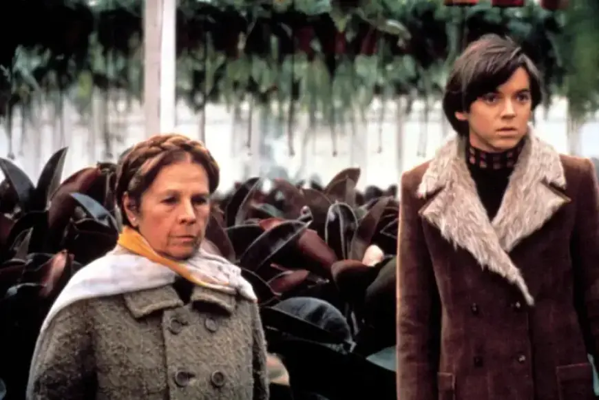 ‘Harold and Maude’ Star Bud Cort Passes Away at 77
