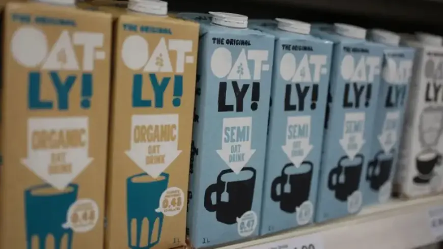 Court Rules Oat-Based Products Cannot Be Marketed as ‘Milk’